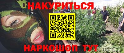 гашишное масло Кандалакша