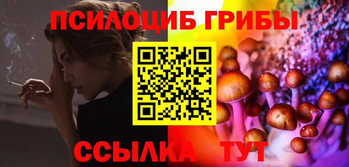 Кудрово  Галлюциногенные грибы прущие грибы  где продают   Вход с VPN 
