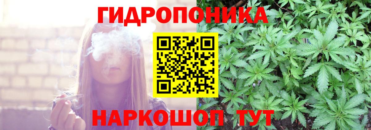 Бошки марихуана семена Кудрово